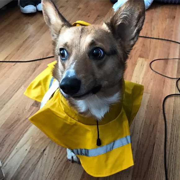 Meet your Posher, Tiffany - Picture 2 of 4